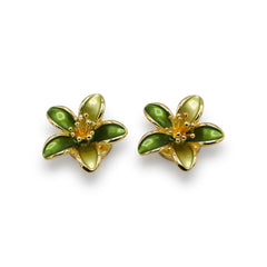 Knopfabdeckung Nr. 52  pro Set